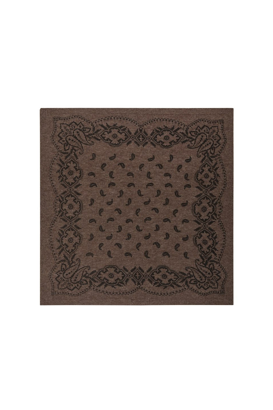 Adelina Paisley Knit Scarf
